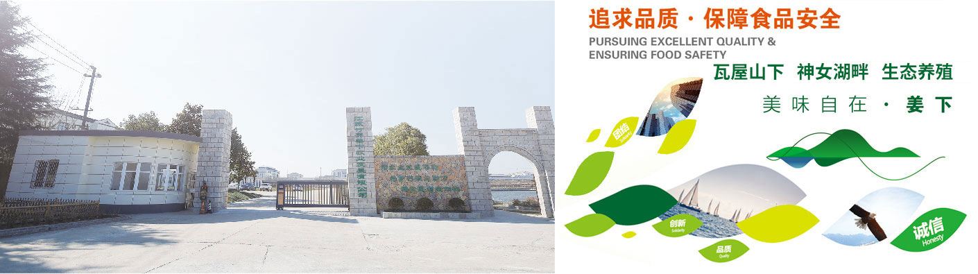姜下农业.jpg