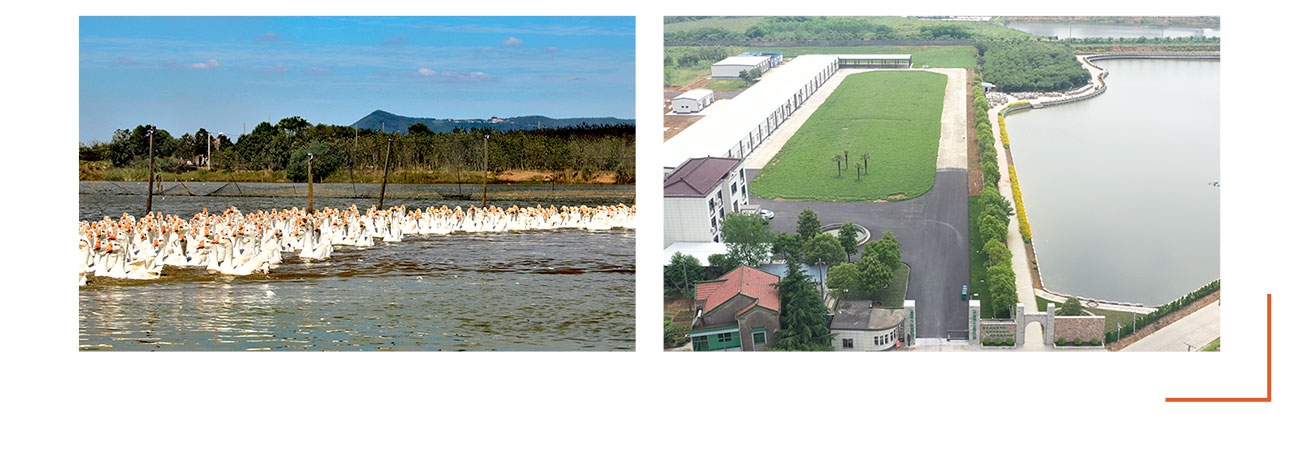 食材保证_02.jpg 食材保证_02.jpg