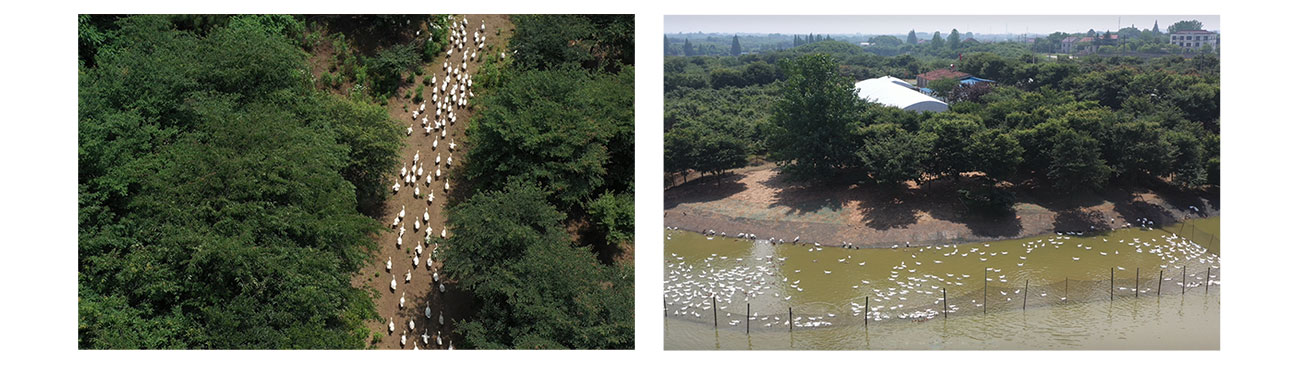 食材保证_02.jpg 食材保证_02.jpg