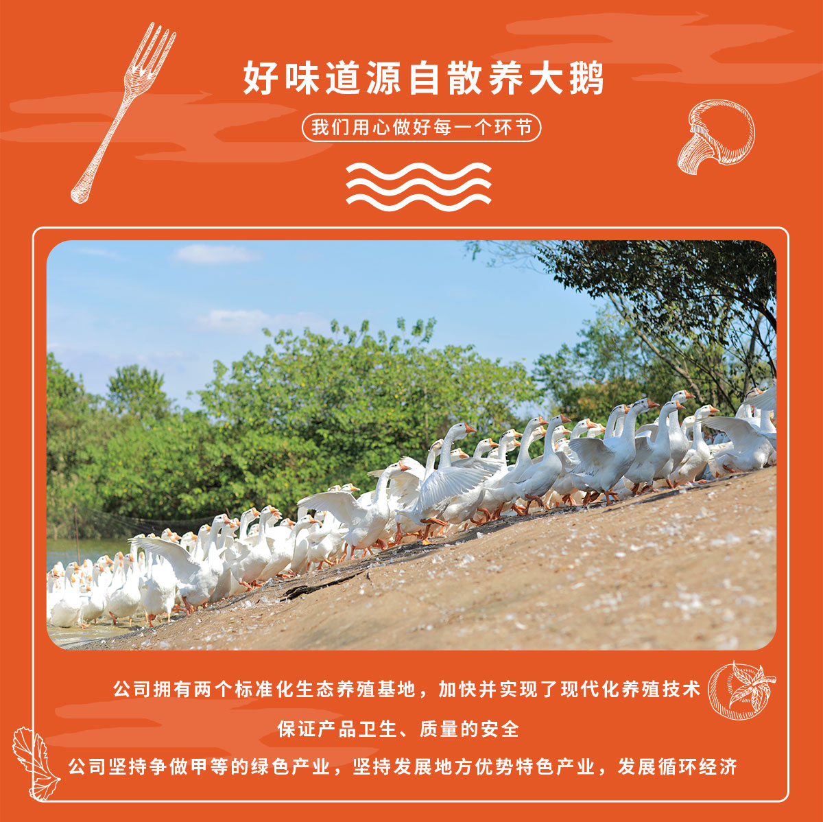 详情2小包装_02.jpg