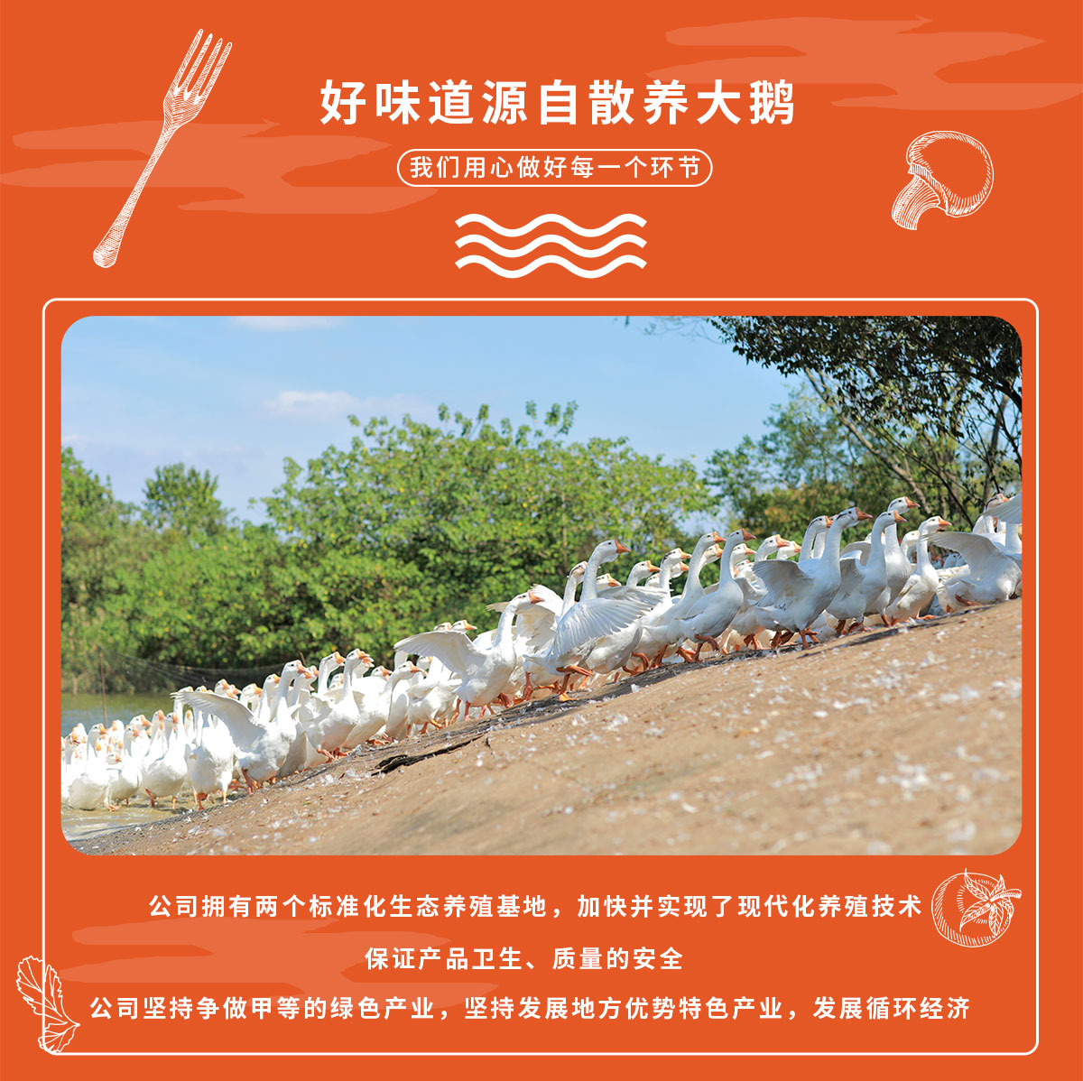 详情2鹅肫_02.jpg